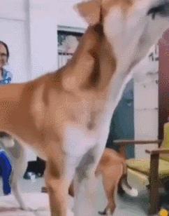 女厕的诡异之处,女厕所发现怪异男尸