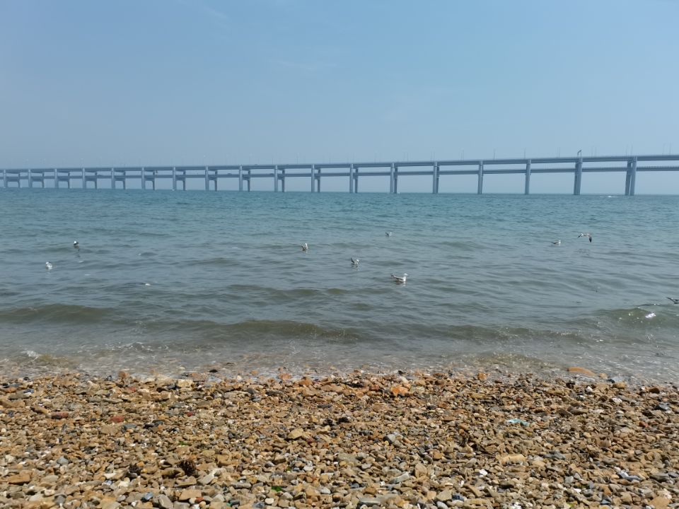 海边大连黑石礁,大连黑石礁到星海公园