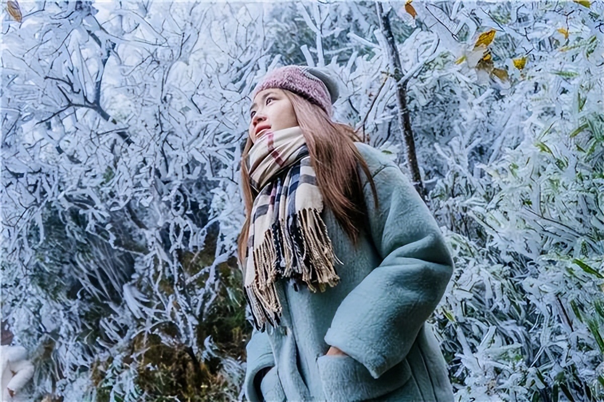 2021连州金子山雾凇观赏时间,广州金子山雾凇