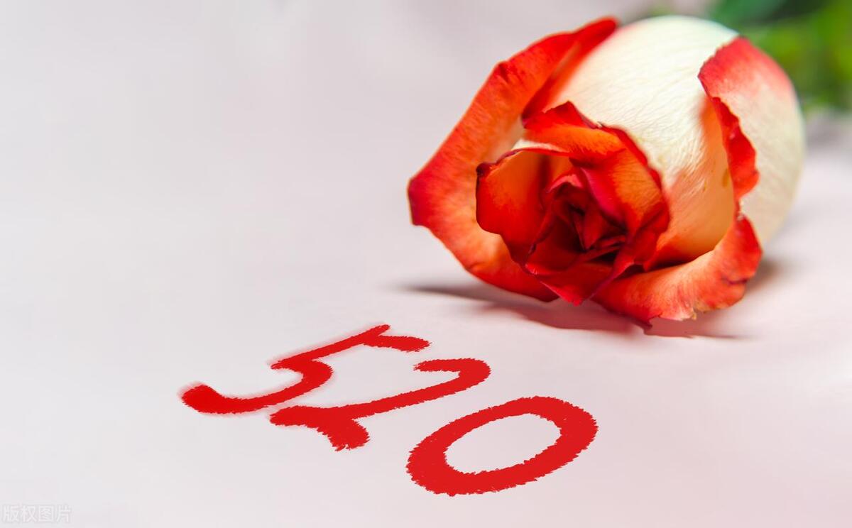 适合520的告白文案爱自己,520走心表白文案时光不老我们不散