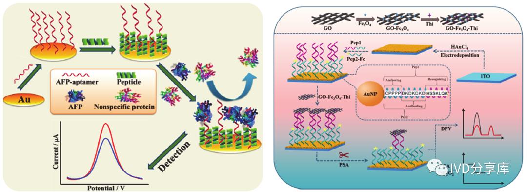 电化学传感器检测方法,电化学检测领域