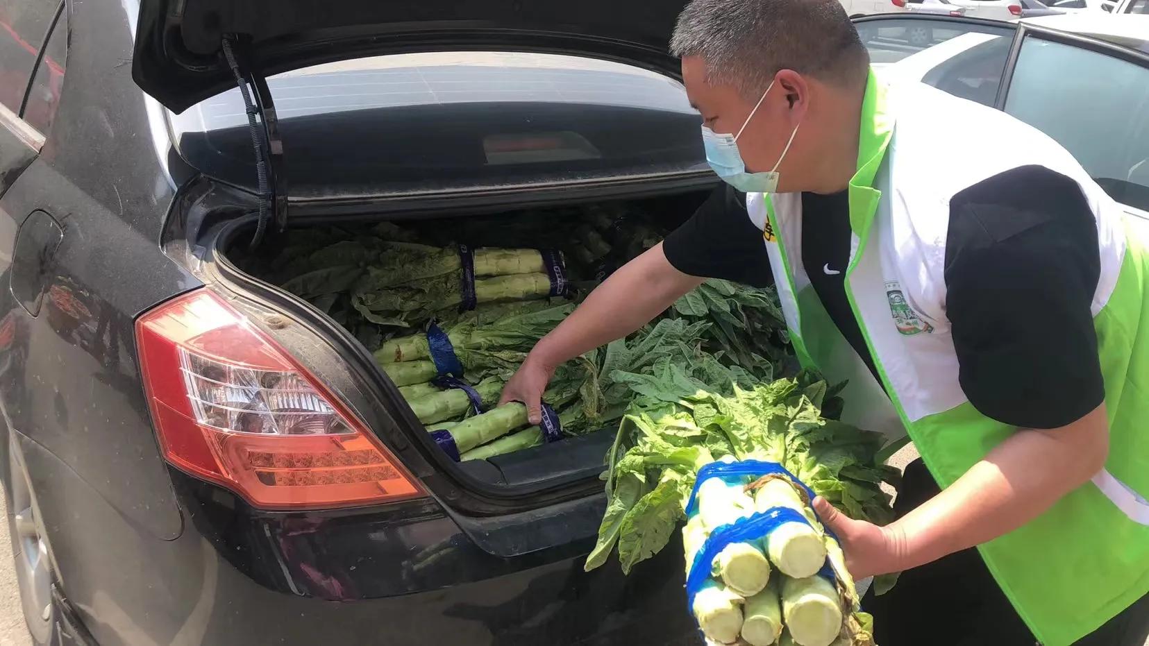 王振辉简历,王振辉