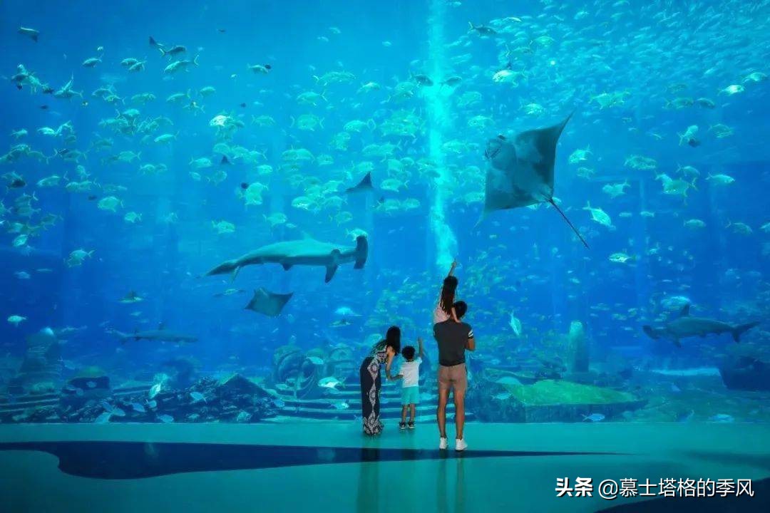 海南最具性价比的酒店,海南省最高端的酒店