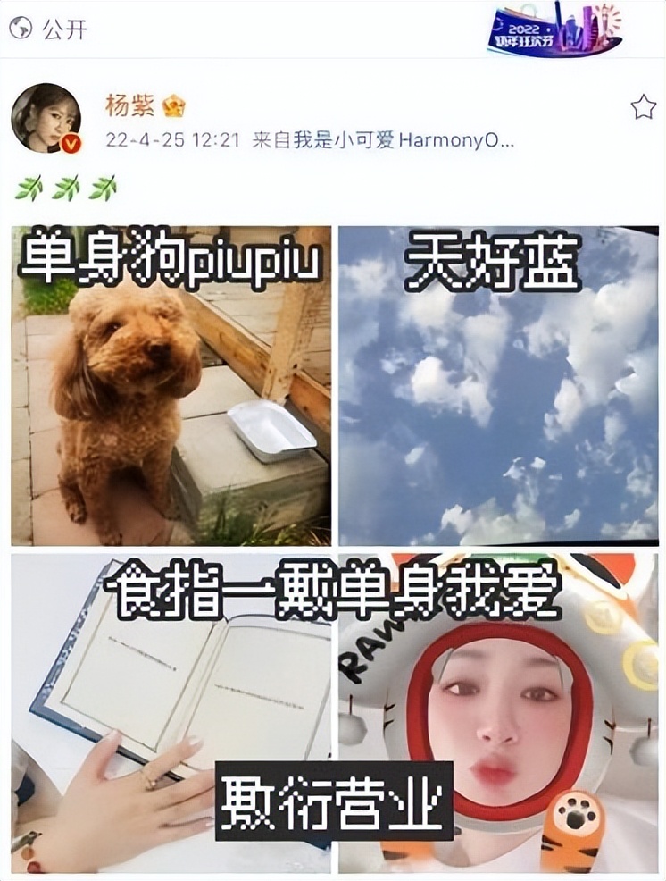 杨紫富婆,杨紫从资本弃女到十亿福星的逆袭