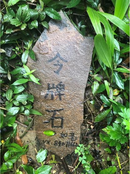 北碚三圣龙王村,重庆北碚山水龙王村