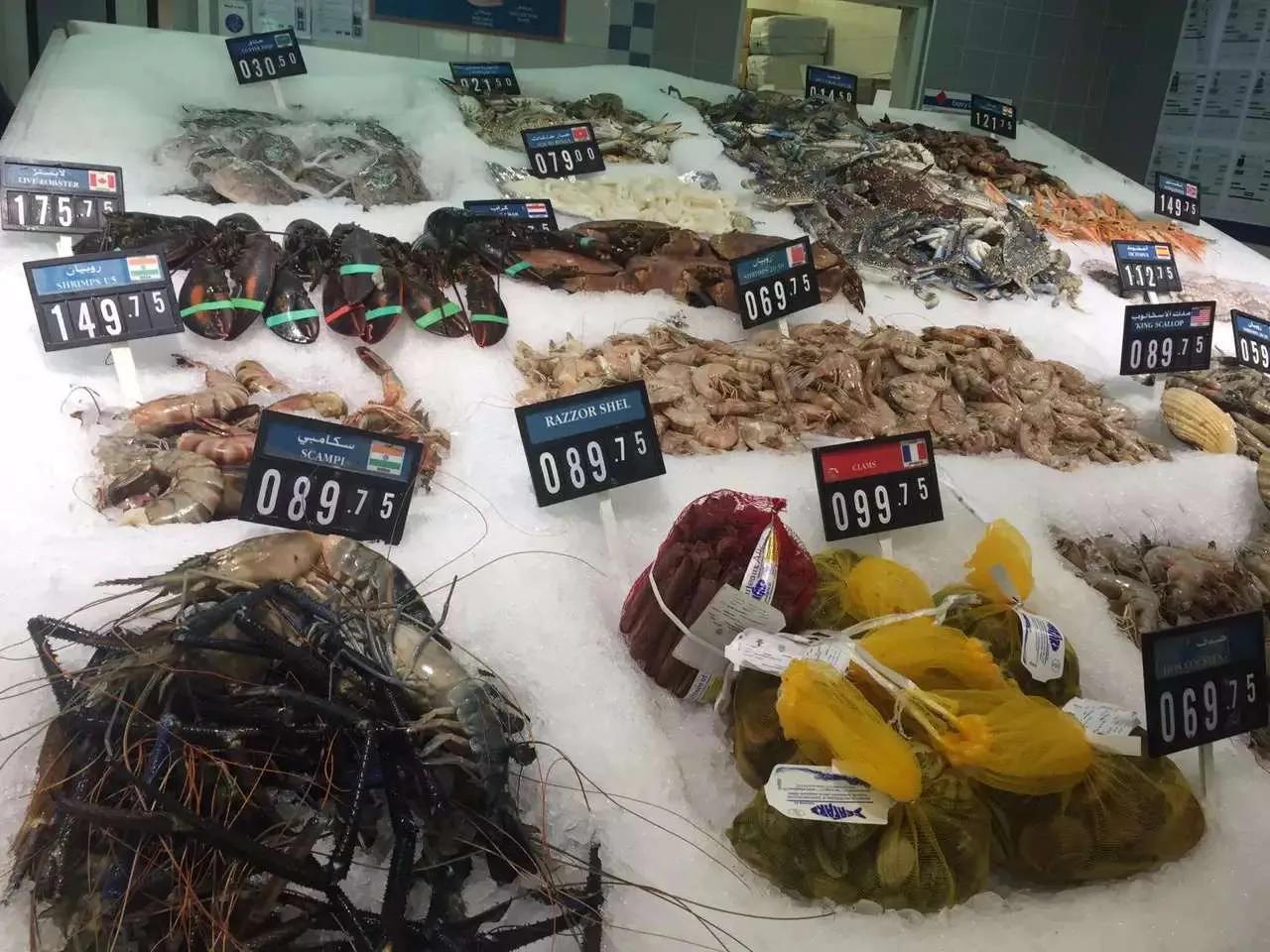 卡塔尔富得流油,卡塔尔流油