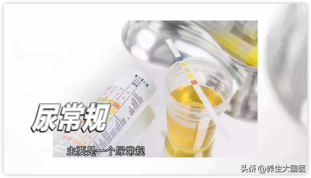 中医专家教你护肾,中医肾病的健康科普宣教