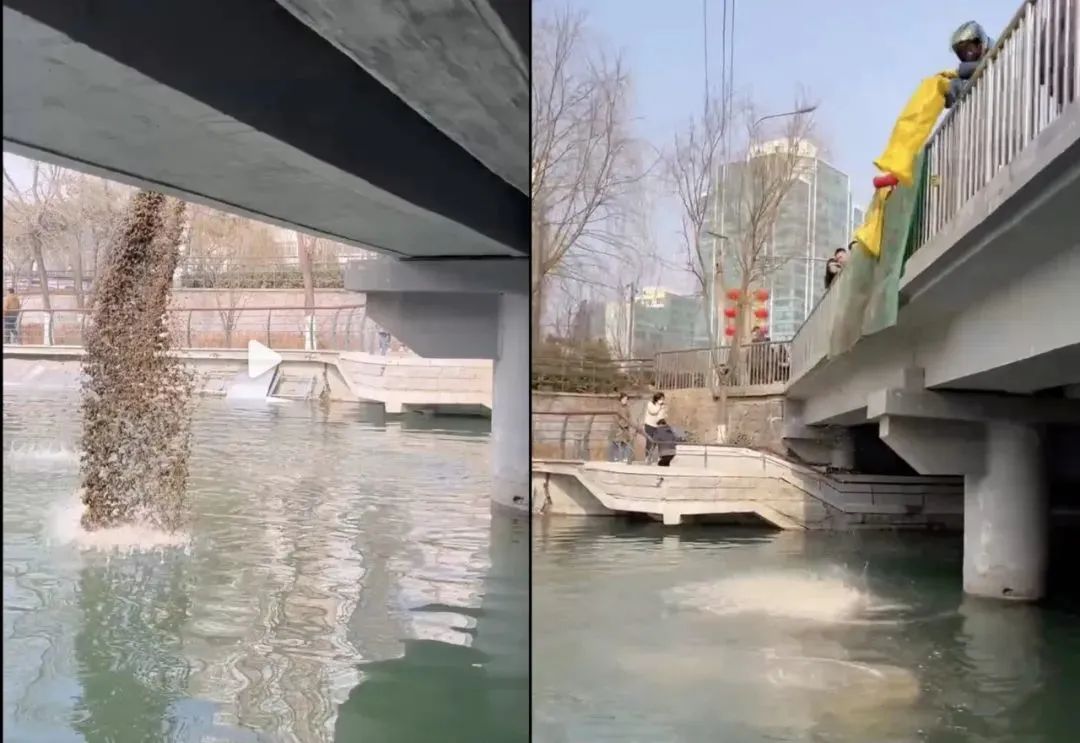 【津云夜读】天津这个区域迎来新发展｜2023运河桃花节攻略来了｜这种病毒进入高发期，中疾控提醒