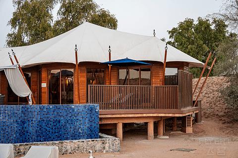 阿联酋丽思卡尔顿,阿联酋野奢帐篷