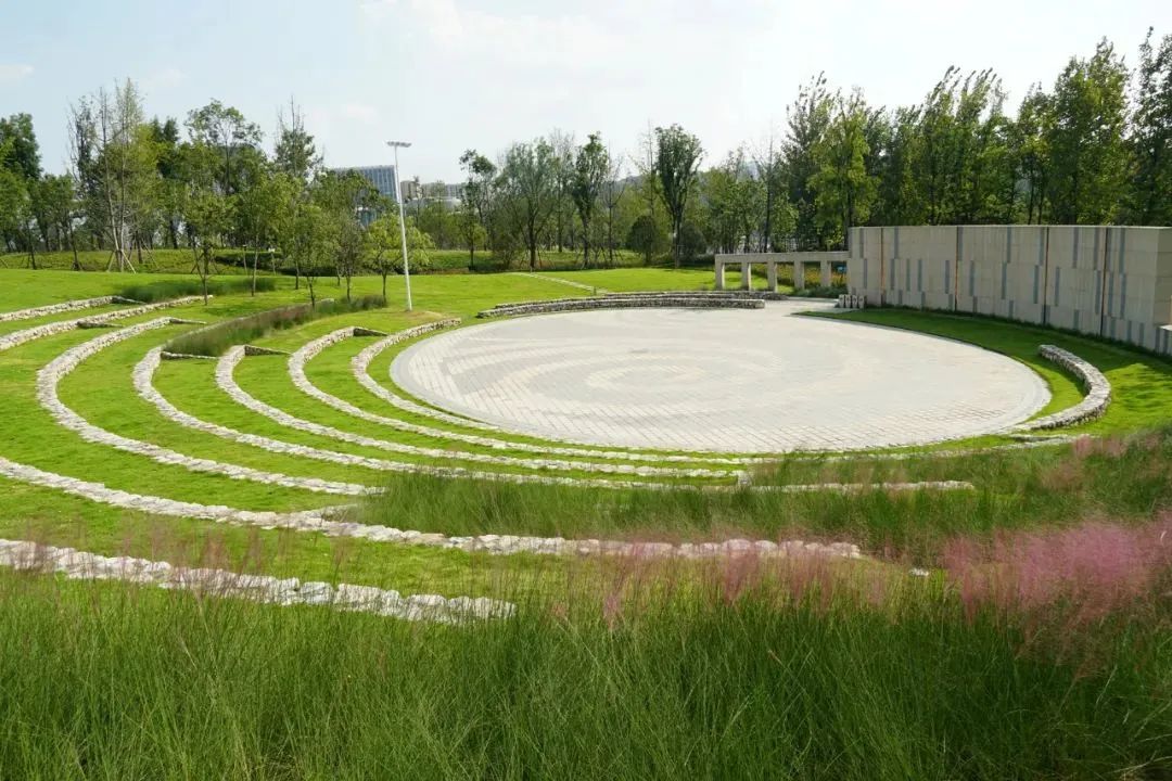 成都音乐森林公园,成都露天音乐公园儿童乐园