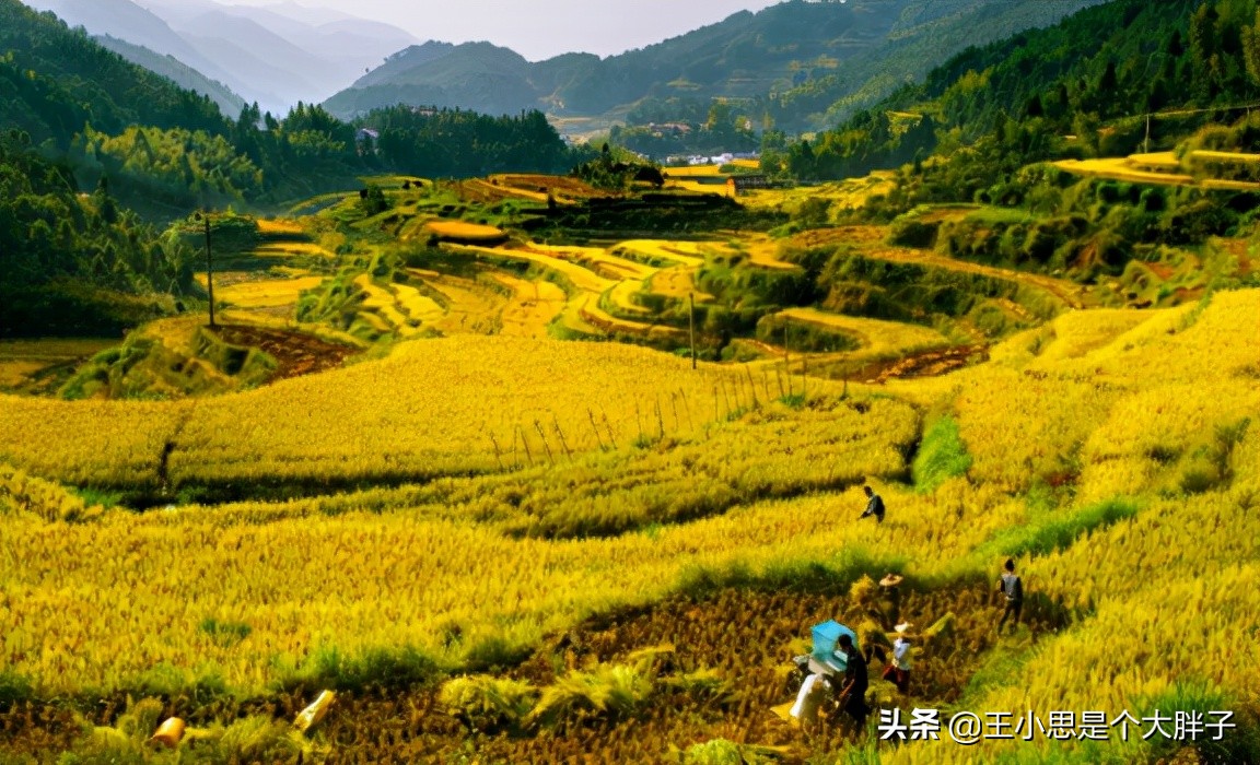 东北好粮油,东北好山好水