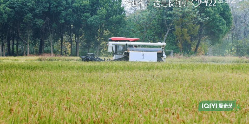 从豆瓣8.4到9.0分，这群认真种地的少年们，值得被所有人看见