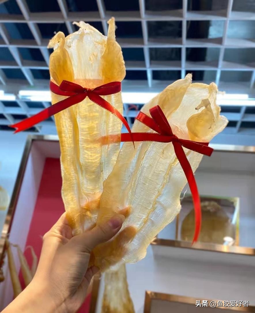 买鱼胶到哪里才买到真货,辨别鱼胶质量的好坏