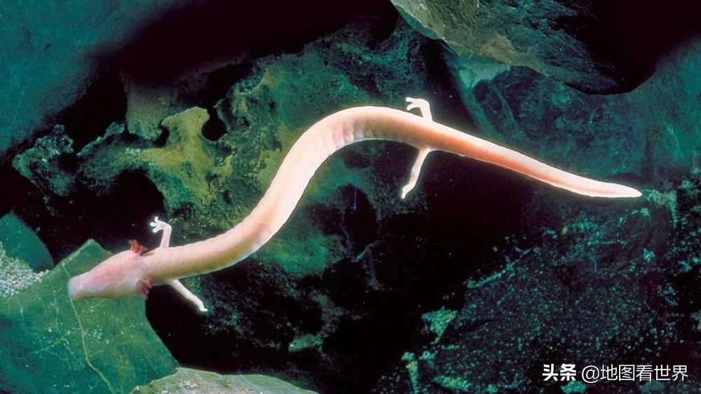 一级行政区数量最少的国家,斯洛文尼亚一级行政区