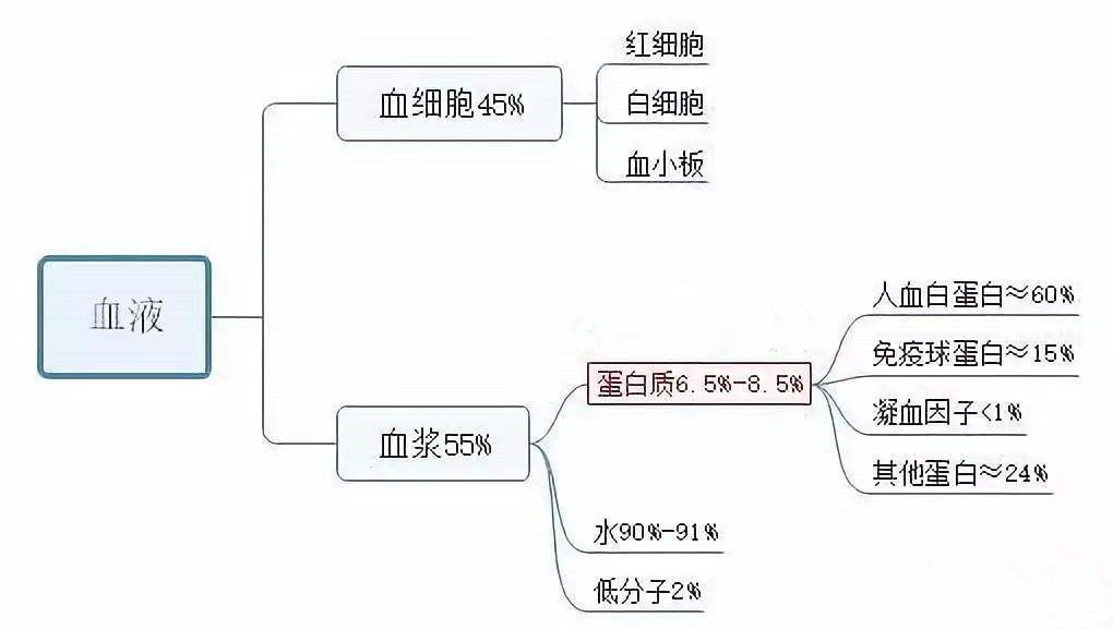 天坛生物生产哪些血制品,天坛生物是龙头股吗