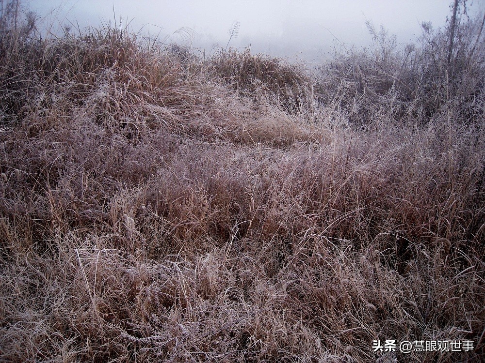 自然现象的古诗词,学生必背古诗词41到60句