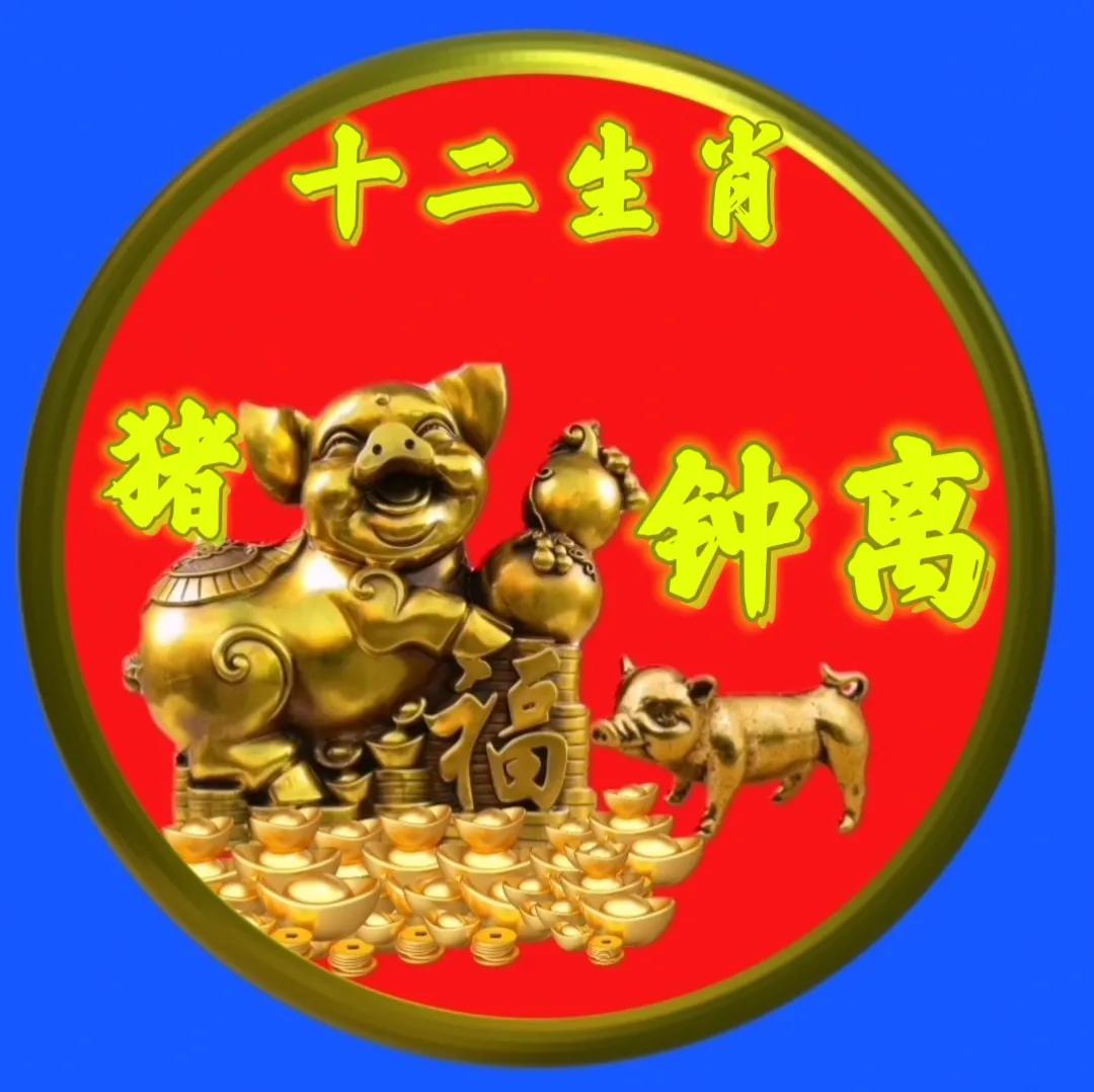 12生肖猪的姓氏头像,十二生肖猪姓氏头像壁纸