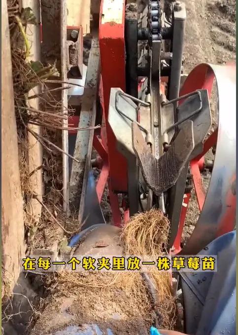 学习挪威语去挪威生活定居,中国人远嫁挪威受欢迎吗