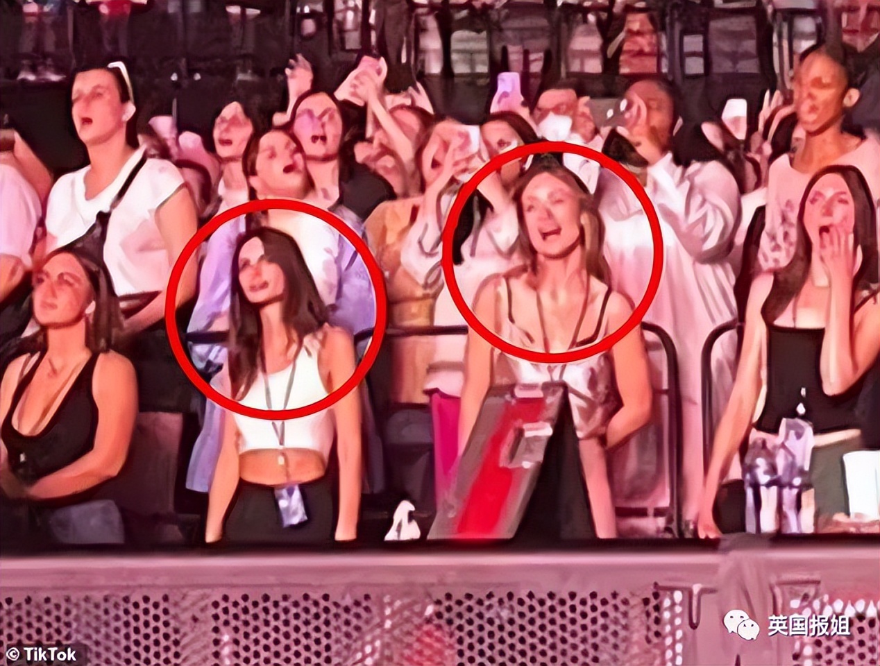 哈卷和泰勒为什么分手,维密超模糖糖坎蒂丝分手