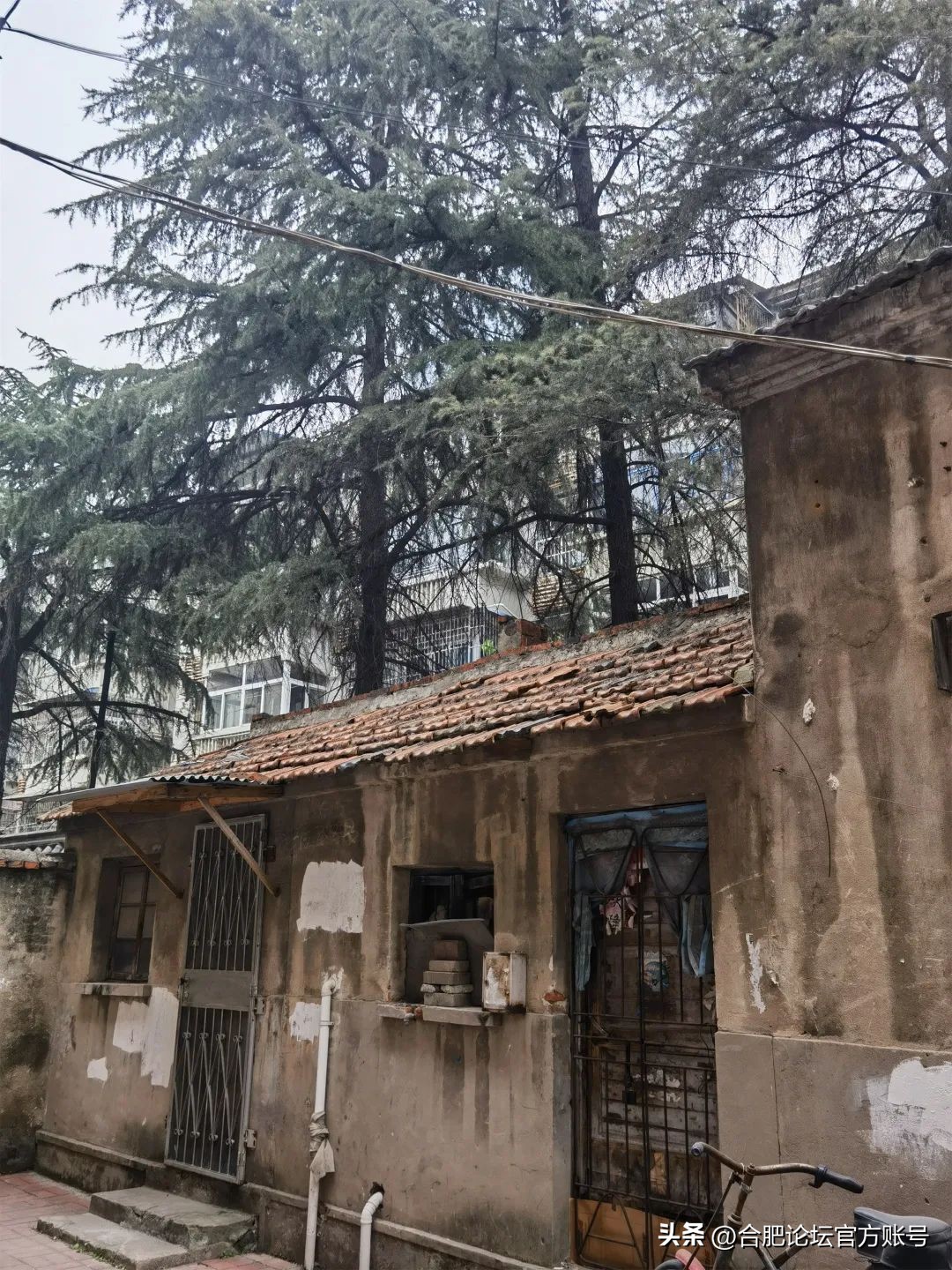 合肥杏花菜市场老样子,合肥杏花菜市