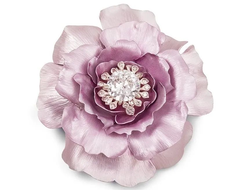 涓轰粈涔堣繖浜涘僵瀹濊繖涔堣吹,鐐僵鐝犲疂