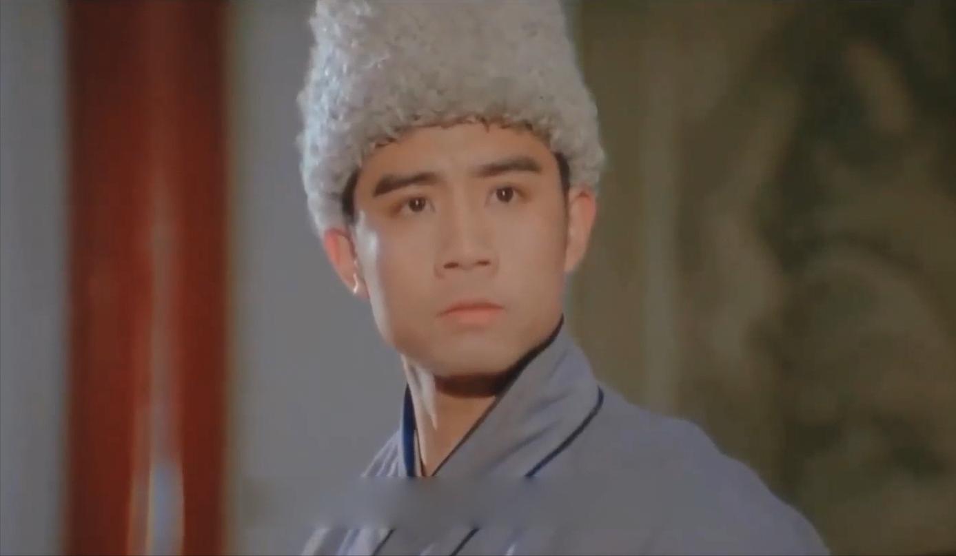 武打演员哪个最厉害,武打明星南拳王