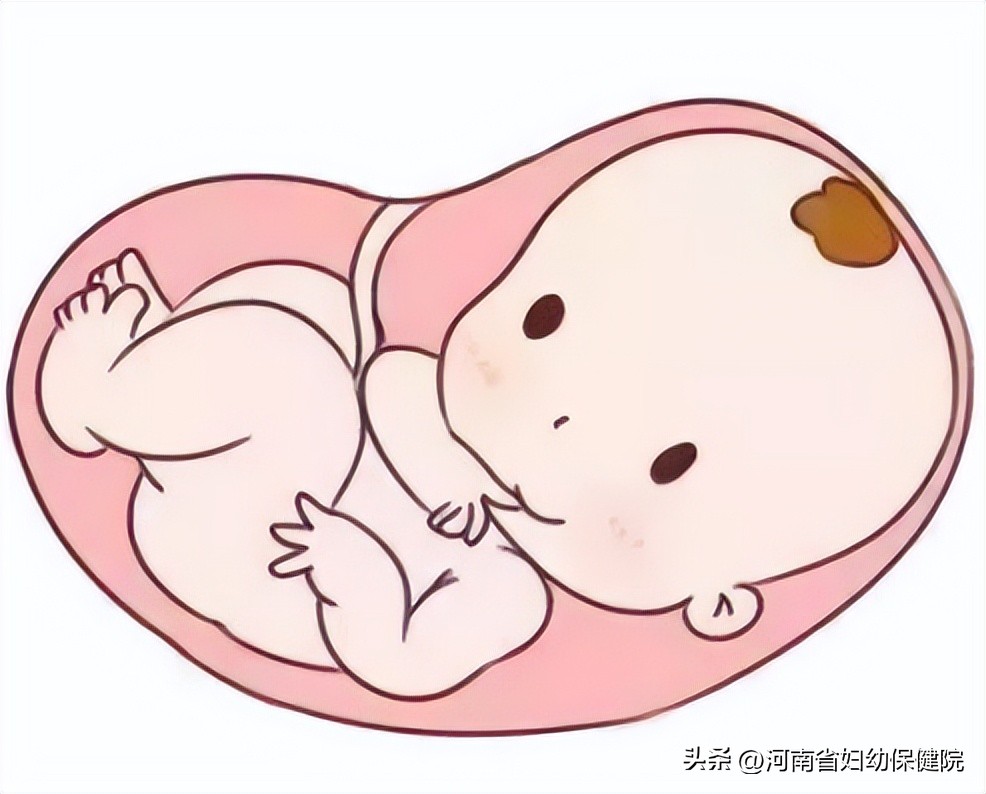 孕妈妈孕前检查有哪些项目,产前胎儿超声检查是什么