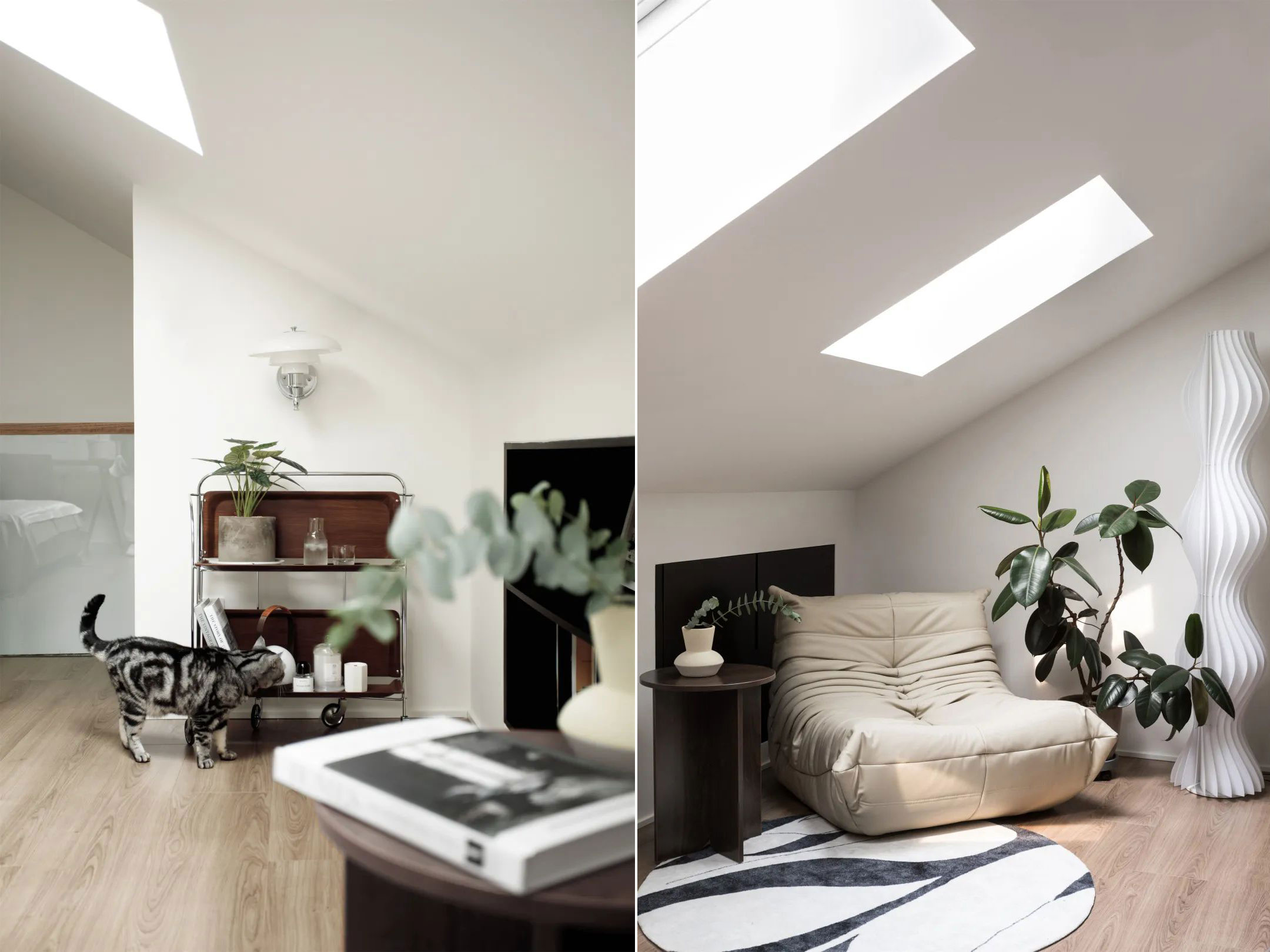 她家80㎡的顶楼复式，看过的人都说羡慕，两人两猫的生活真幸福