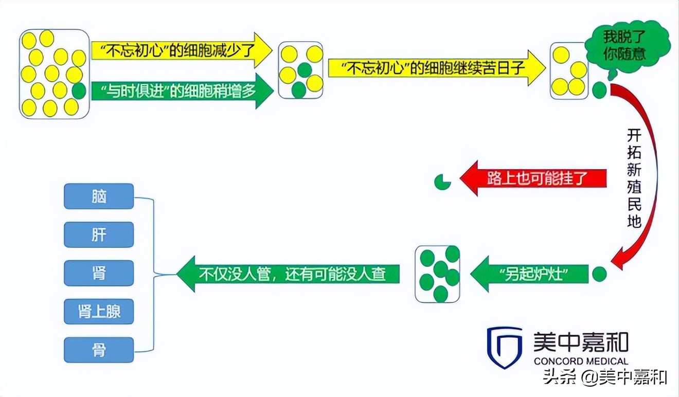 靶向药加中药治疗可以延缓耐药吗 (肺癌靶向药三代耐药吃一代有效吗)