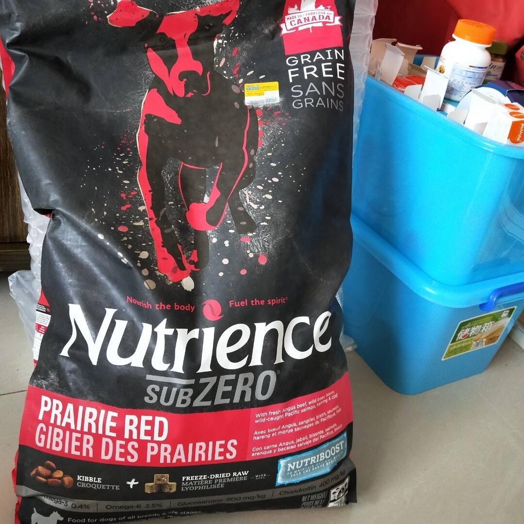 狗粮什么牌子好4款狗粮实测,什么样牌子的狗粮比较好