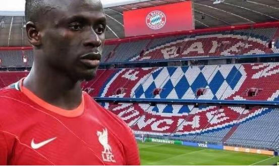 世界杯回顾往届,世界杯瞻前顾后