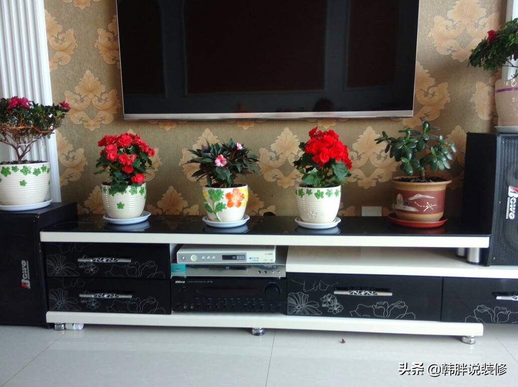 电视机旁不要放这四样东西,电视机前不能摆放的四种物品