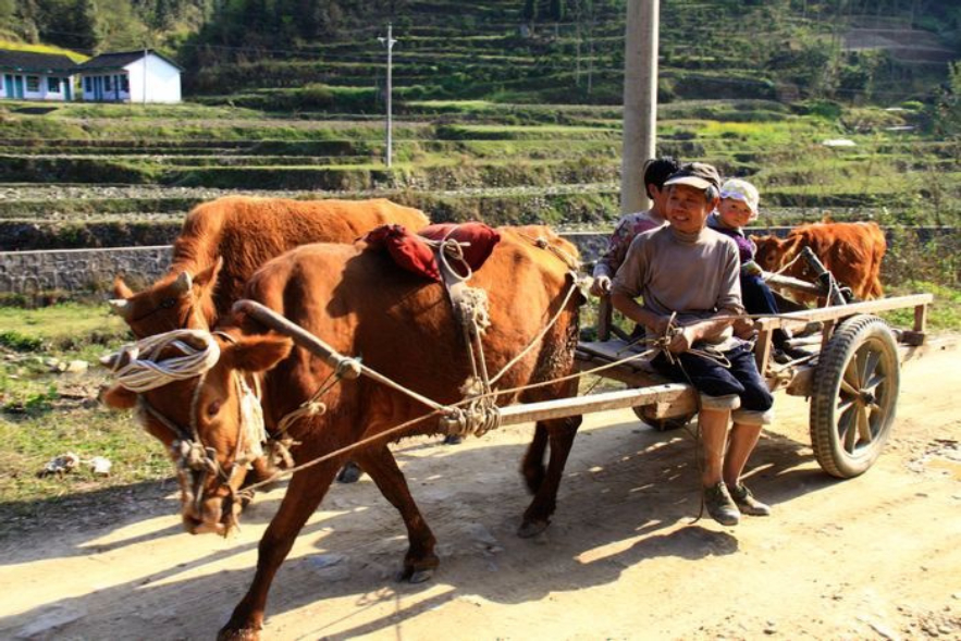 十五马赫时速,十五马赫是多快