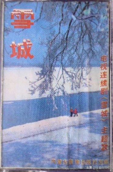 家中建酒吧，一个人去办结婚登记，刘欢是个怎样的人？