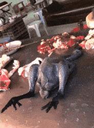 想问这姑娘衣服在哪买的,会不会挨揍?亮点