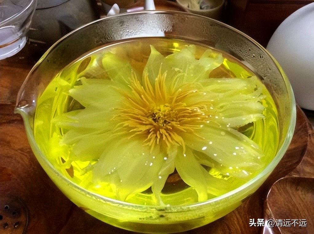 清远这里九品香莲花飘香离市区仅15分钟车程新鲜采摘泡茶美容养颜