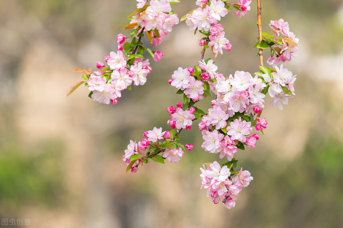 诗词里的四季风,古诗词中的风与四季的关系