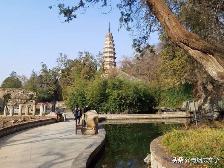 回家过年题材的诗歌,诗歌回家过年了