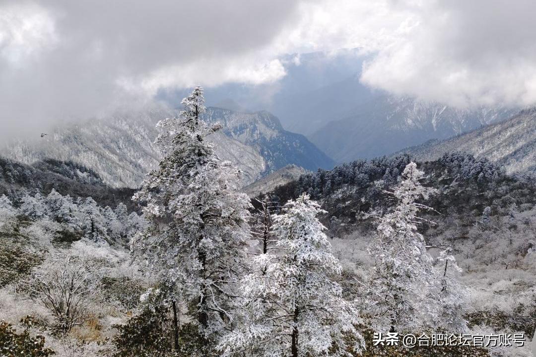 合肥6月特价机票,合肥出发全国旅游团购