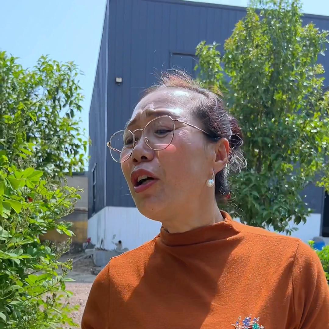 蜂场种的莴笋丰收了。拔下来切一切，焯一遍开水，趁着大太...