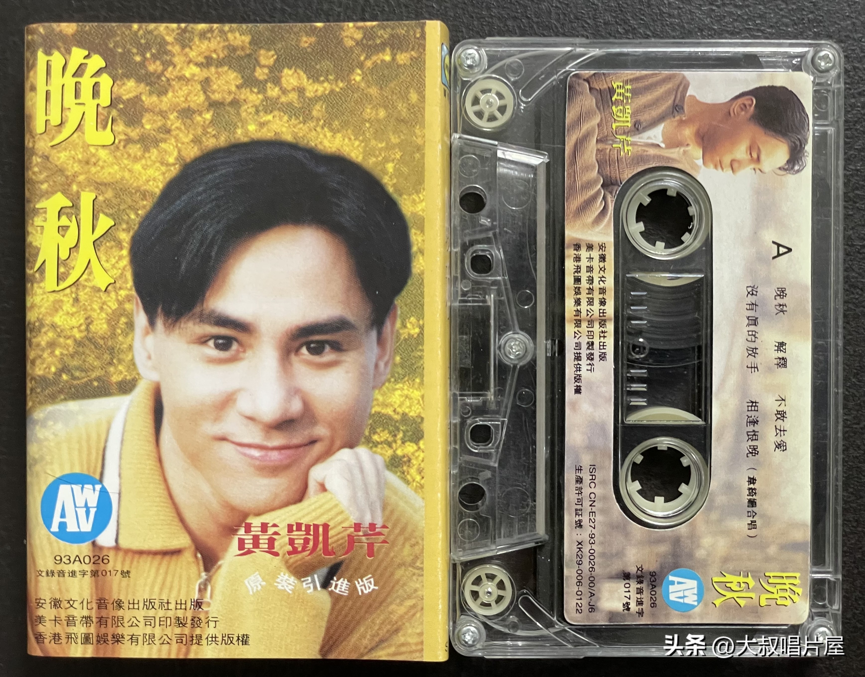 1993年中国神曲,1993年华语乐坛神曲大爆发