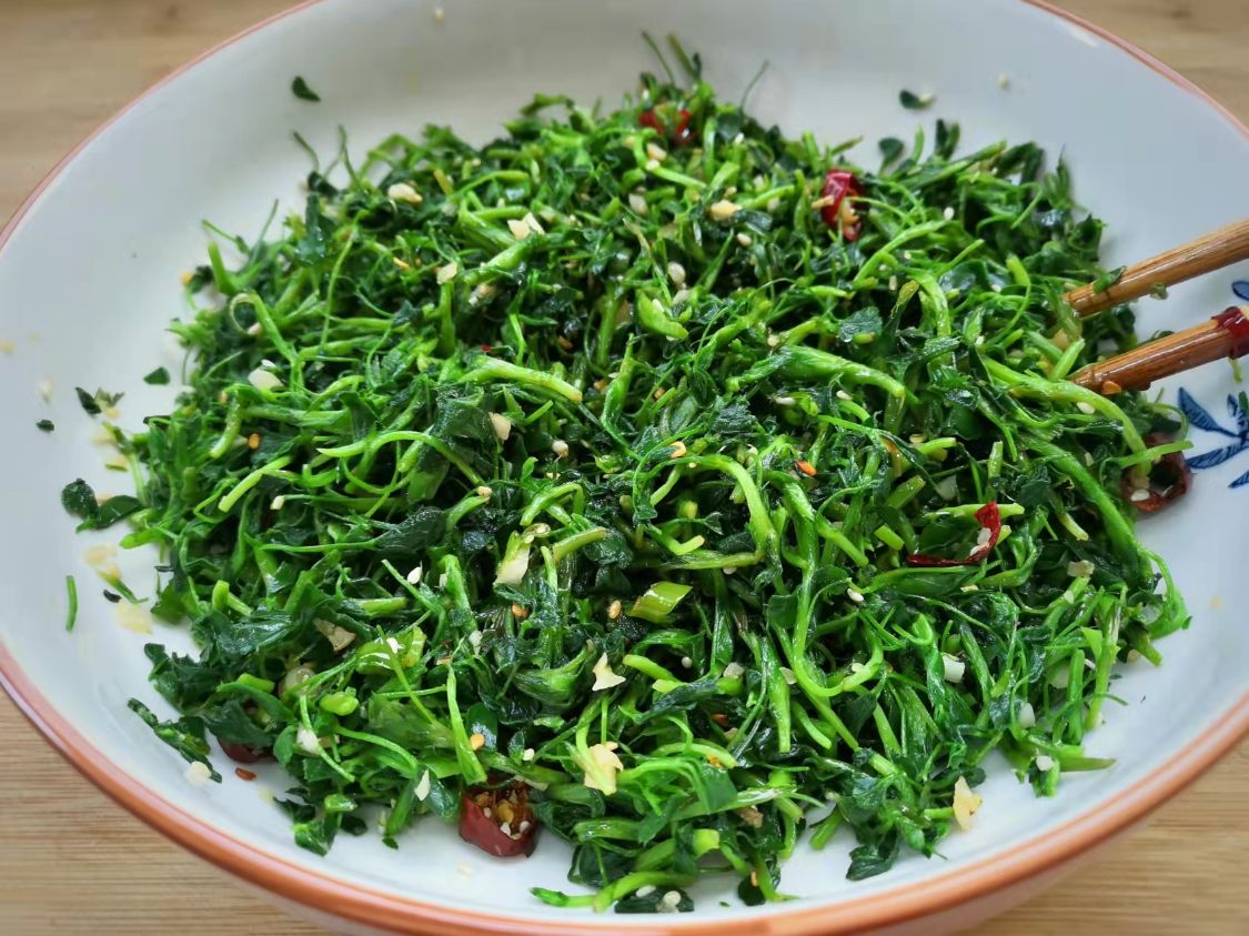 阳春三月必吃的野菜,阳春三月野菜成餐桌新宠