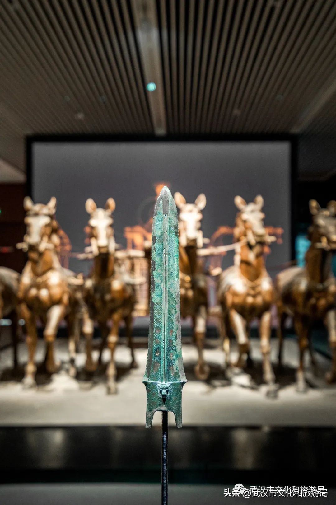 来武汉一定要去一趟东湖看荷花,来武汉看樱花吧