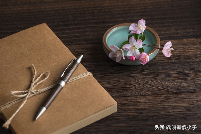 超级治愈的年度宝藏书籍好书推荐,书香雅致书籍推荐