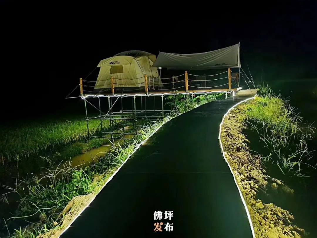 王家坪乡村旅游,佛坪县打造旅游景区