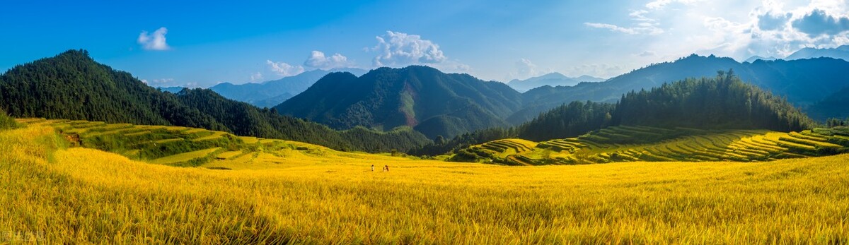 写给领导的一句离职感谢话,写给离职领导的简短祝福语八个字
