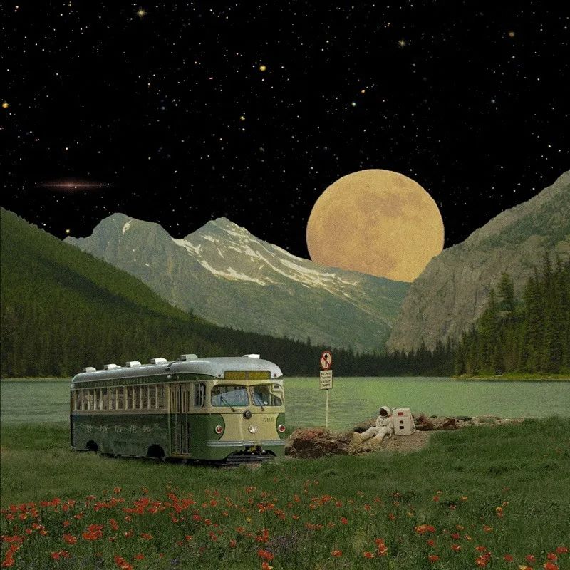 绿色背景图ins高级感小图,干净的背景图ins风冬日高清