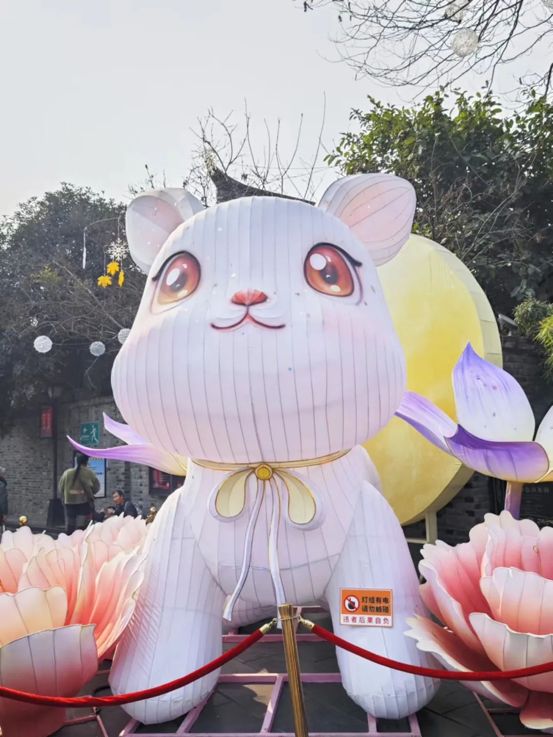 成都的人现在都在玩什么,最近成都人在玩什么