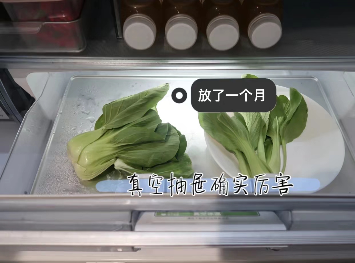 高价冰箱和平价冰箱的区别,上万元的家电