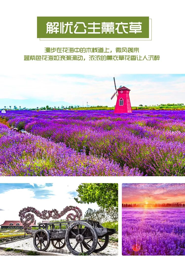 这条惊艳奇绝的公路,行走在天山脊梁上的最美景观公路